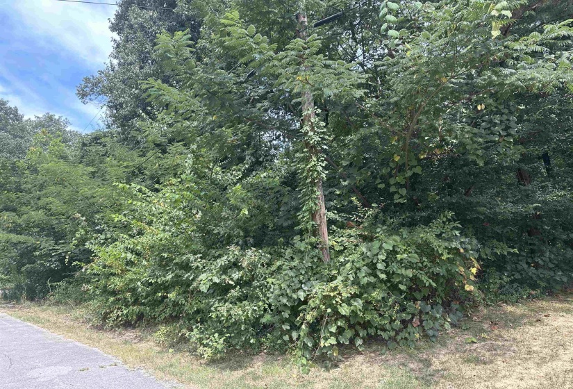 1362 BLACKISON CV, Memphis, Tennessee 38109, 0 , 0 ,0,Land,For Sale,BLACKISON,0,10225411