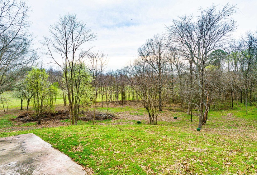 153 HARRISON RD, Martin, Tennessee 38237, ,Land,For Sale,HARRISON,10225441