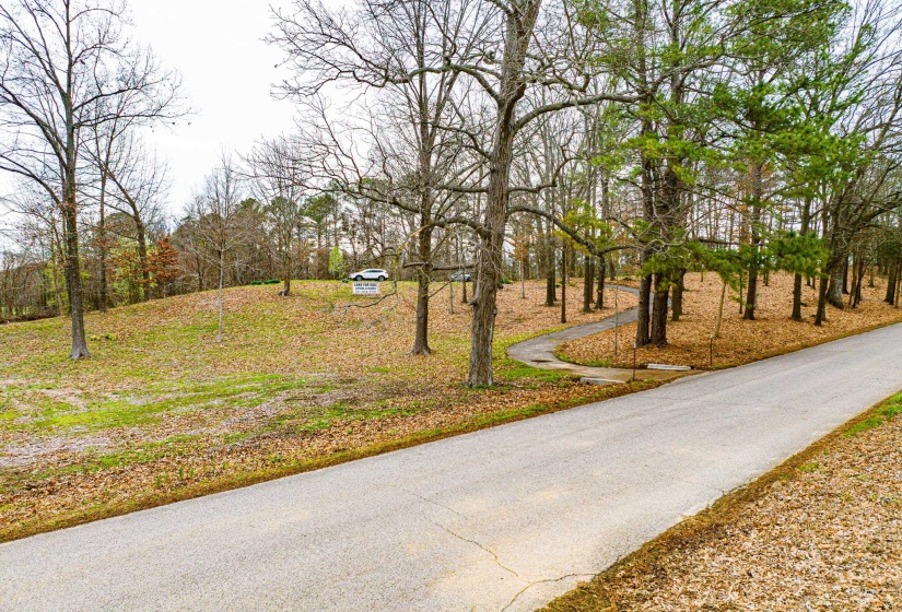153 HARRISON RD, Martin, Tennessee 38237, ,Land,For Sale,HARRISON,10225441