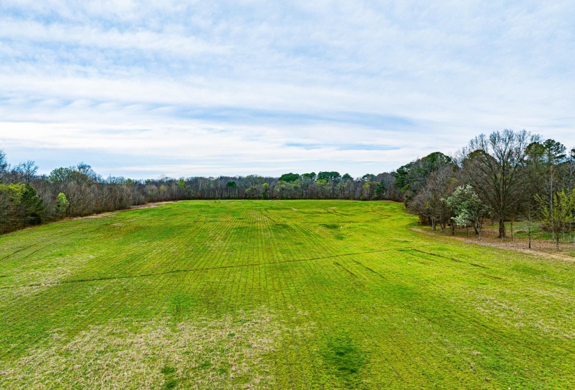 153 HARRISON RD, Martin, Tennessee 38237, ,Land,For Sale,HARRISON,10225441