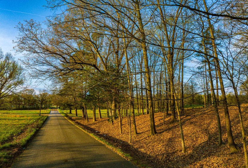 153 HARRISON RD, Martin, Tennessee 38237, ,Land,For Sale,HARRISON,10225441