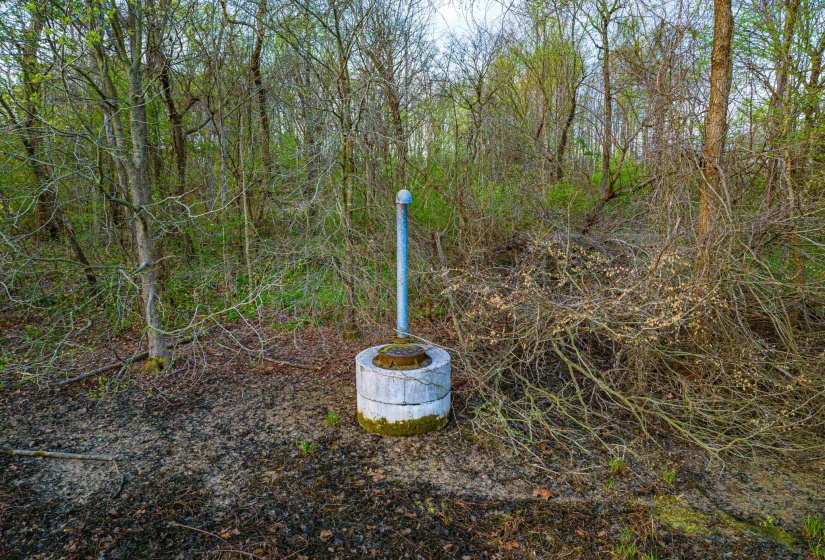 153 HARRISON RD, Martin, Tennessee 38237, ,Land,For Sale,HARRISON,10225441