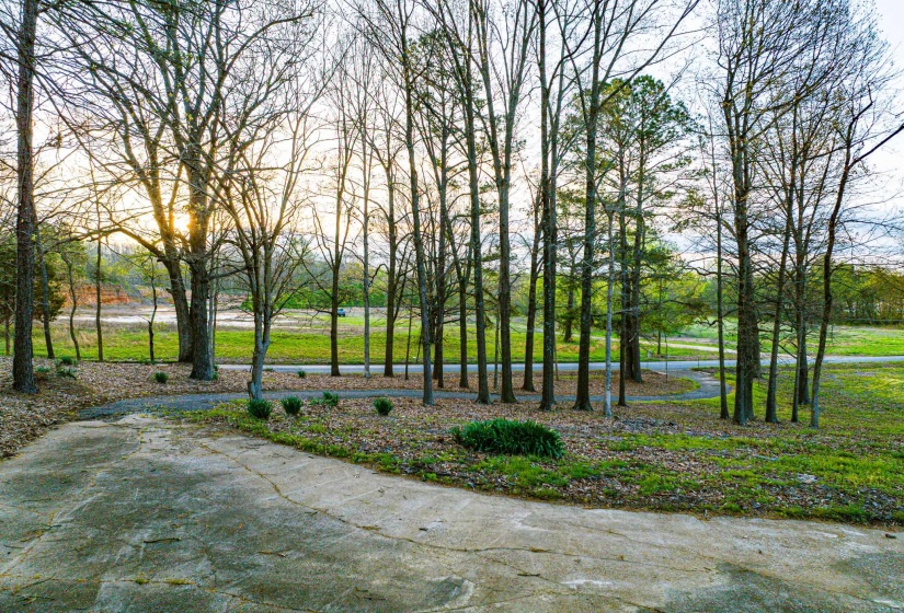 153 HARRISON RD, Martin, Tennessee 38237, ,Land,For Sale,HARRISON,10225441
