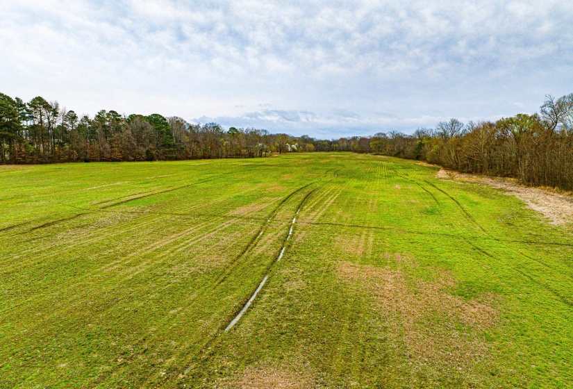 153 HARRISON RD, Martin, Tennessee 38237, ,Land,For Sale,HARRISON,10225441