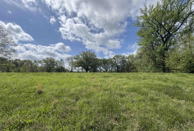 1163 RAINES RD, Memphis, Tennessee 38109, 0 , 0 ,0,Land,For Sale,RAINES,0,10225462