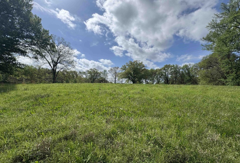 1163 RAINES RD, Memphis, Tennessee 38109, 0 , 0 ,0,Land,For Sale,RAINES,0,10225462