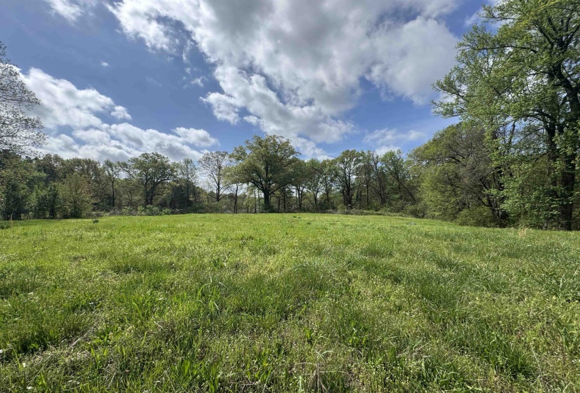 1163 RAINES RD, Memphis, Tennessee 38109, 0 , 0 ,0,Land,For Sale,RAINES,0,10225462