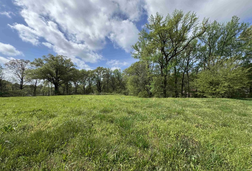 1163 RAINES RD, Memphis, Tennessee 38109, 0 , 0 ,0,Land,For Sale,RAINES,0,10225462