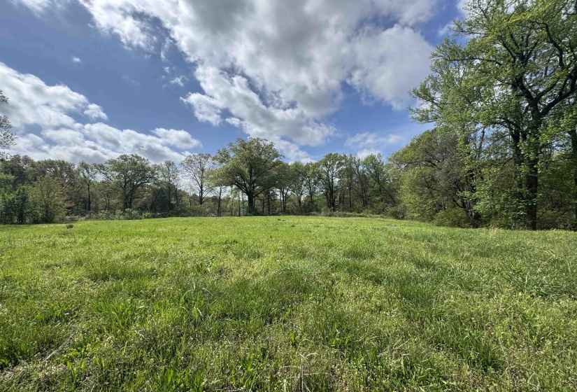 1163 RAINES RD, Memphis, Tennessee 38109, 0 , 0 ,0,Land,For Sale,RAINES,0,10225462