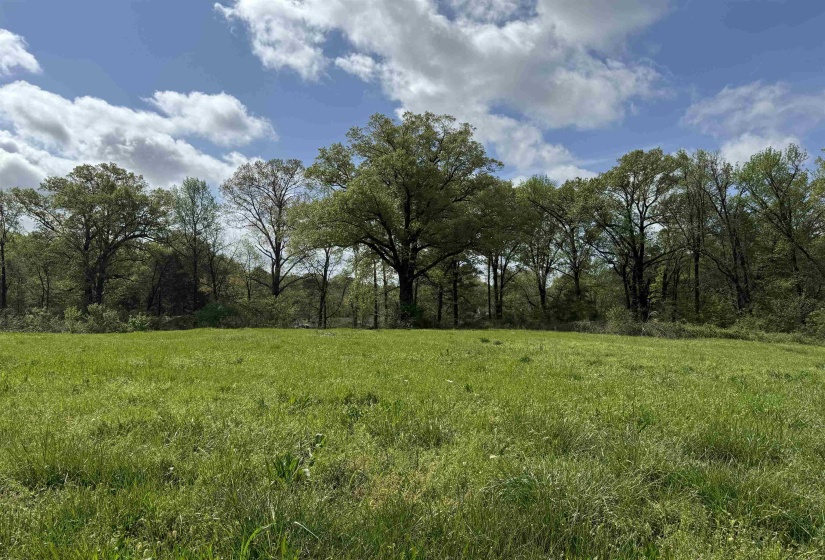 1163 RAINES RD, Memphis, Tennessee 38109, 0 , 0 ,0,Land,For Sale,RAINES,0,10225462