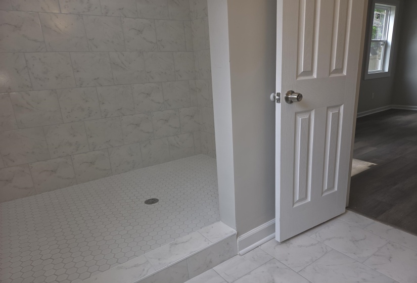 Walk-in shower with white hexagonal tile flooring and large format wall tiles