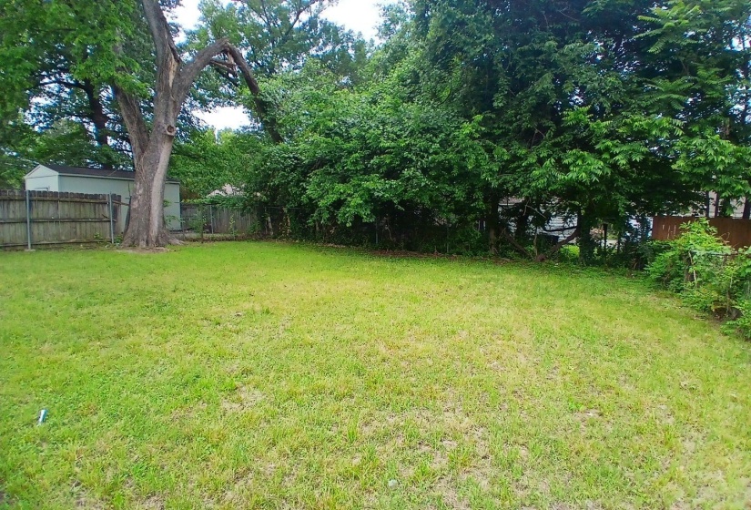 Expansive green lawn with mature trees and a wooden privacy fence
