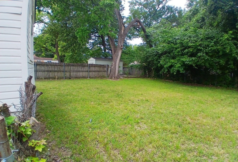 Expansive grassy yard with mature trees and perimeter fencing
