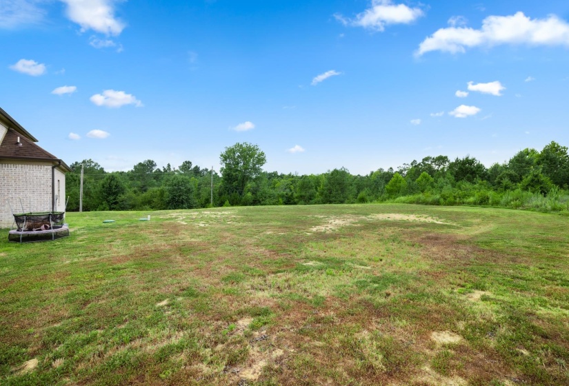 356 POPLAR LN, Holly Springs, Mississippi 38635, 5 Bedroom Bedrooms, 8 Room Rooms,3 BathroomBathrooms,Residential,For Sale,POPLAR,0,10225457