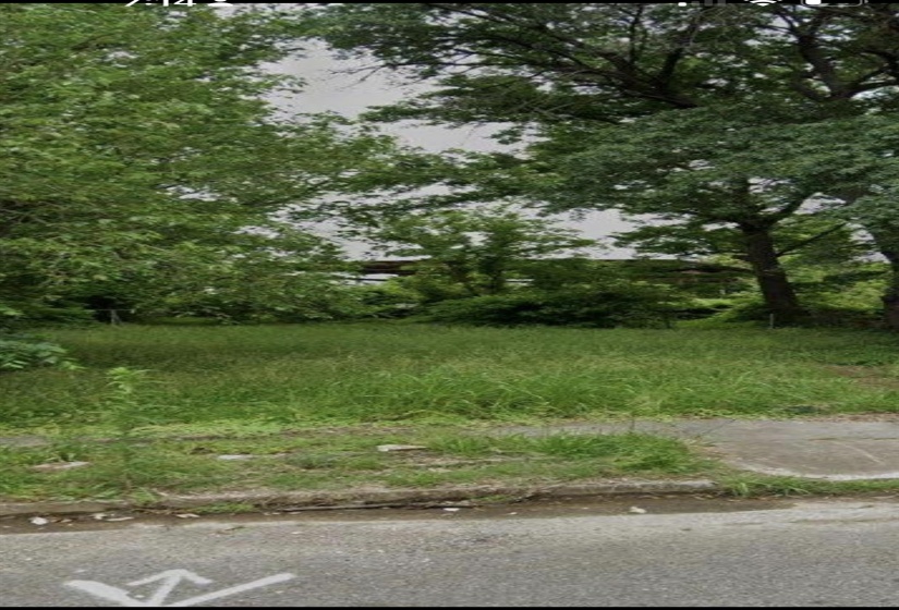 2005 DIANNE CIR, Memphis, Tennessee 38114, 0 , 0 ,0,Land,For Sale,DIANNE,0,10225503