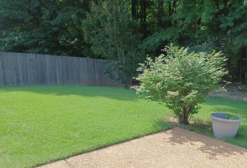 8268 BARTLETT GAP DR, Bartlett, Tennessee 38133, 4 Bedrooms Bedrooms, 7 Rooms Rooms,2 BathroomsBathrooms,Residential,For Sale,BARTLETT GAP,10225482