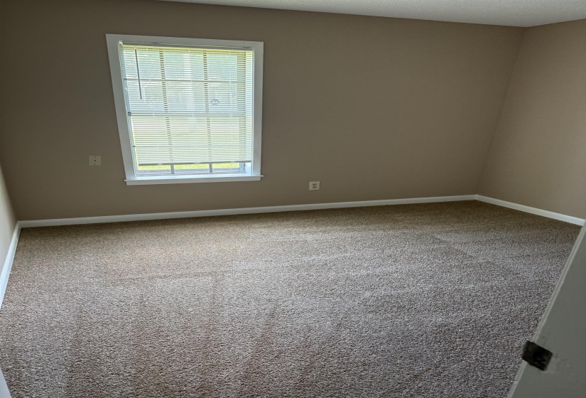 Room featuring neutral-toned walls, plush carpeting, a single window with white blinds, and white trim