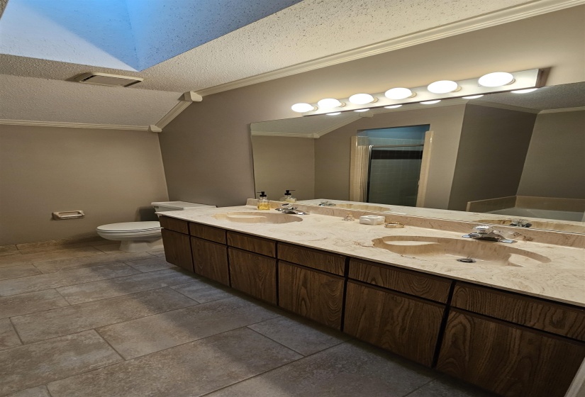Bathroom featuring a spacious double vanity with integrated sinks and wood-finish cabinetry, a large mirror, and a multi-bulb lighting fixture