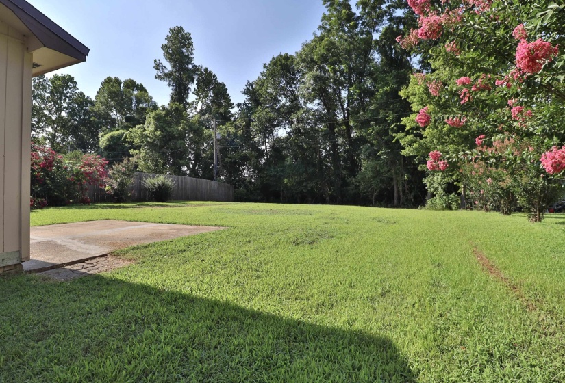 80 LONG HOLE RD, Ripley, Tennessee 38063, 3 Bedrooms Bedrooms, 6 Rooms Rooms,1 BathroomBathrooms,Residential,For Sale,LONG HOLE,10225497
