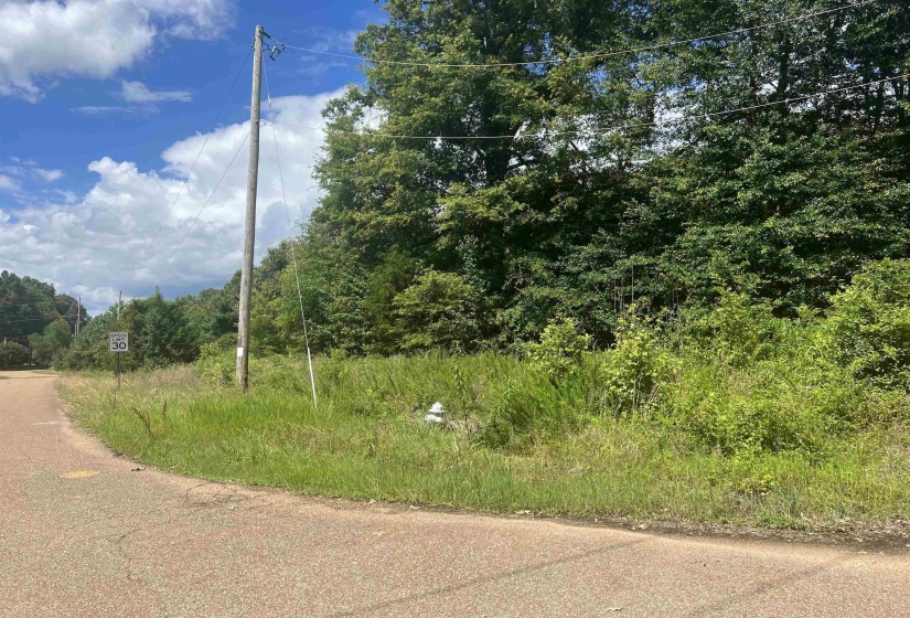 0 REID HOOKER RD, Eads, Tennessee 38082, 0 , 0 ,0,Land,For Sale,REID HOOKER,0,10225524