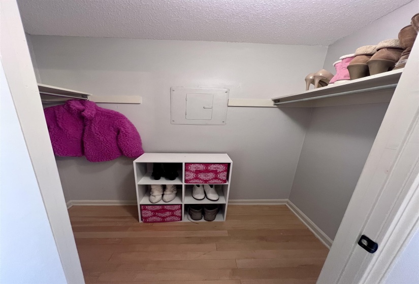 Walk-in closet featuring light wood-finish flooring, light gray wall paint, white trim, and a textured ceiling