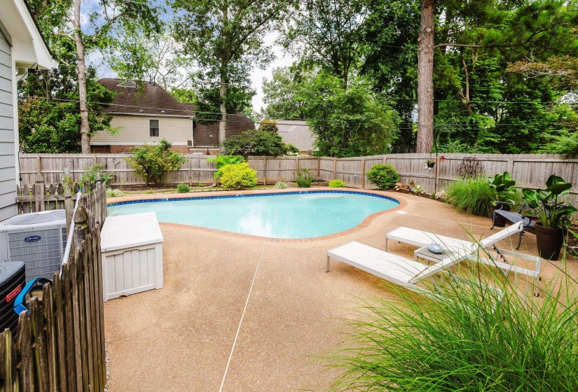Backyard oasis featuring a freeform swimming pool with a blue tile border, surrounded by a concrete patio