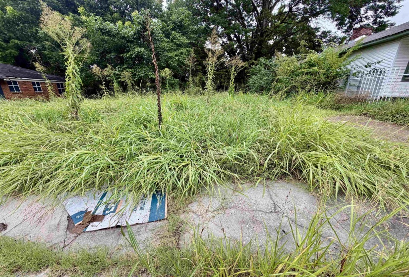869 ALASKA ST, Memphis, Tennessee 38107, 0 , 0 ,0,Land,For Sale,ALASKA,0,10225594