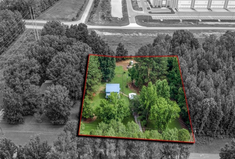 Expansive parcel featuring mature trees, a clear boundary, and a single-story dwelling with a blue roof