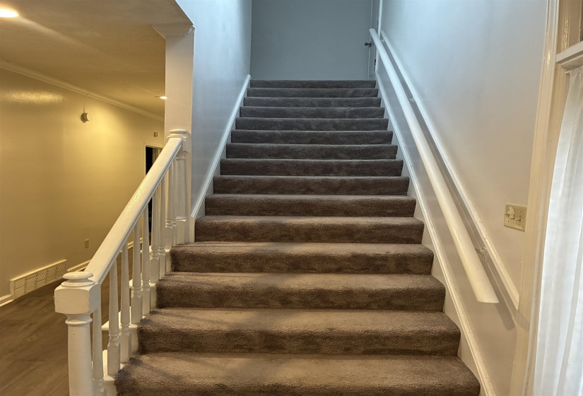 Carpeted staircase with white balusters and handrails