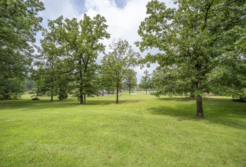 Expansive green lawn with mature trees and additional scattered foliage