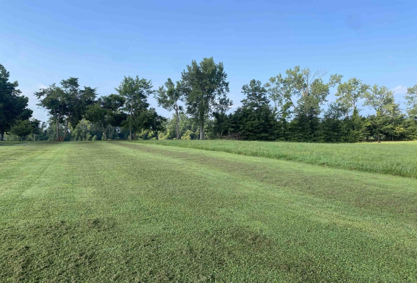 9 CATFISH LN, Crump, Tennessee 38327, 0 , 0 ,0,Land,For Sale,CATFISH,0,10225646
