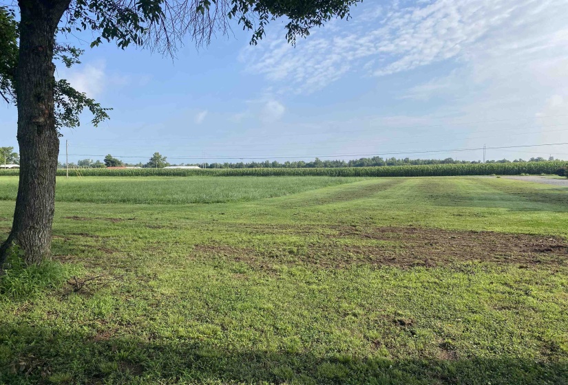 9 CATFISH LN, Crump, Tennessee 38327, 0 , 0 ,0,Land,For Sale,CATFISH,0,10225646