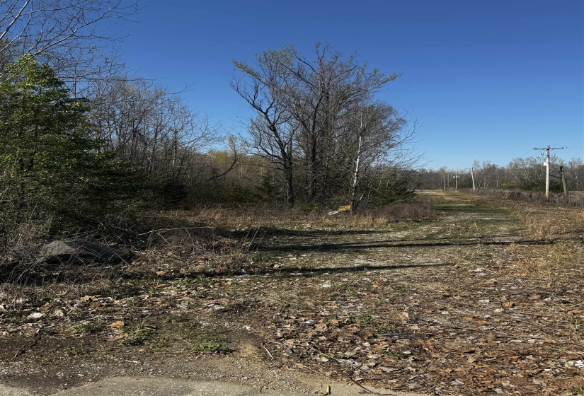 5250 HUNGERFORD RD, Memphis, Tennessee 38118, ,Land,For Sale,HUNGERFORD,10225673