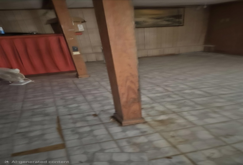 Image quality insufficient for description