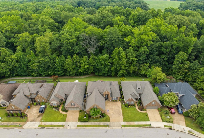 10124 SERENITY LN, Lakeland, Tennessee 38002, 4 Bedrooms Bedrooms, 9 Rooms Rooms,3 BathroomsBathrooms,Residential,For Sale,SERENITY,10225671