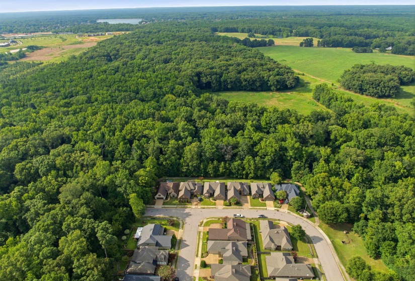 10124 SERENITY LN, Lakeland, Tennessee 38002, 4 Bedrooms Bedrooms, 9 Rooms Rooms,3 BathroomsBathrooms,Residential,For Sale,SERENITY,10225671