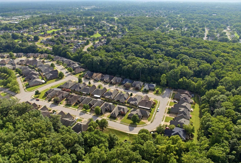10124 SERENITY LN, Lakeland, Tennessee 38002, 4 Bedrooms Bedrooms, 9 Rooms Rooms,3 BathroomsBathrooms,Residential,For Sale,SERENITY,10225671