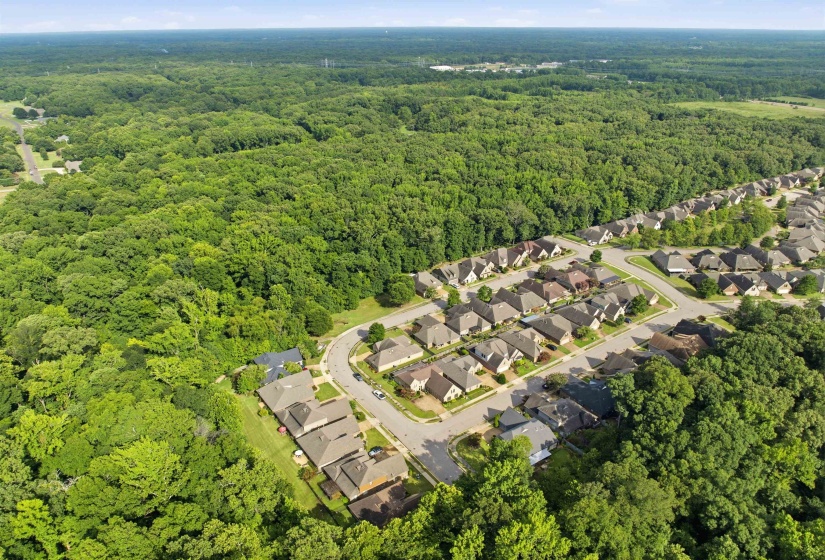 10124 SERENITY LN, Lakeland, Tennessee 38002, 4 Bedrooms Bedrooms, 9 Rooms Rooms,3 BathroomsBathrooms,Residential,For Sale,SERENITY,10225671