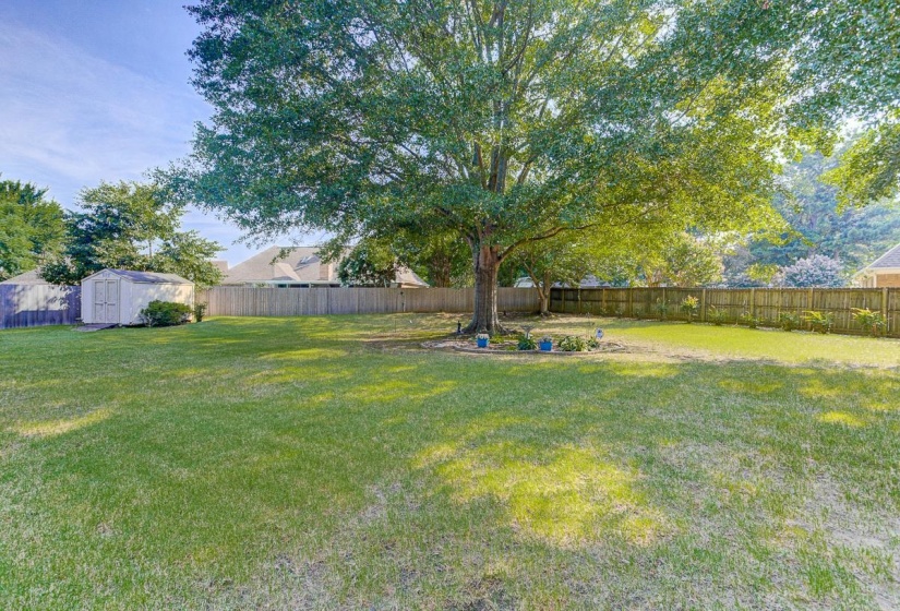 Expansive lawn featuring a mature shade tree, full privacy fencing, and a detached storage shed