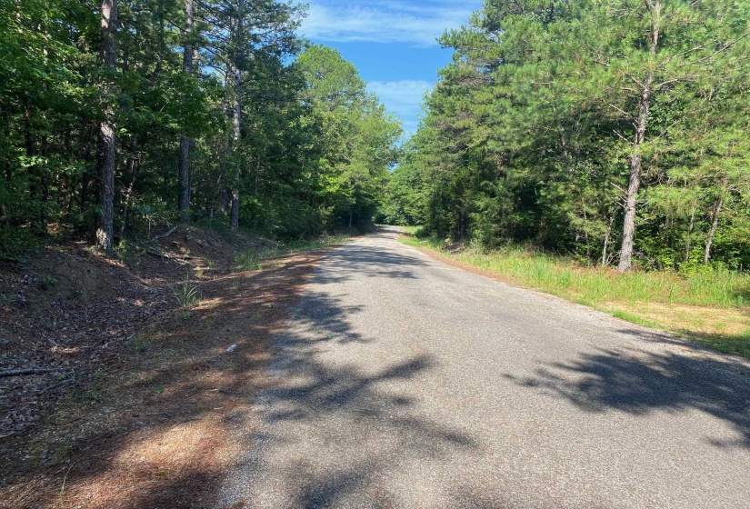 SEL BROOKS LN, Bethel Springs, Tennessee 38315, 0 , 0 ,0,Land,For Sale,SEL BROOKS,0,10225705