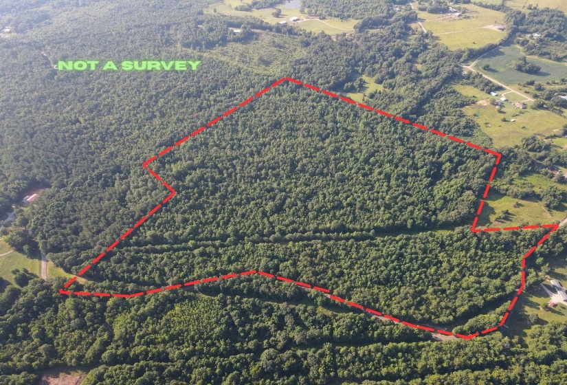 SEL BROOKS LN, Bethel Springs, Tennessee 38315, 0 , 0 ,0,Land,For Sale,SEL BROOKS,0,10225705