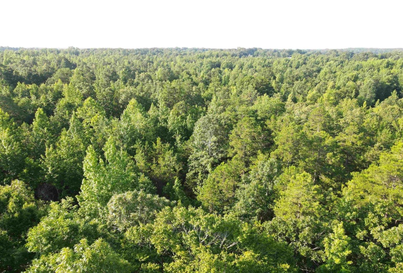 SEL BROOKS LN, Bethel Springs, Tennessee 38315, 0 , 0 ,0,Land,For Sale,SEL BROOKS,0,10225705