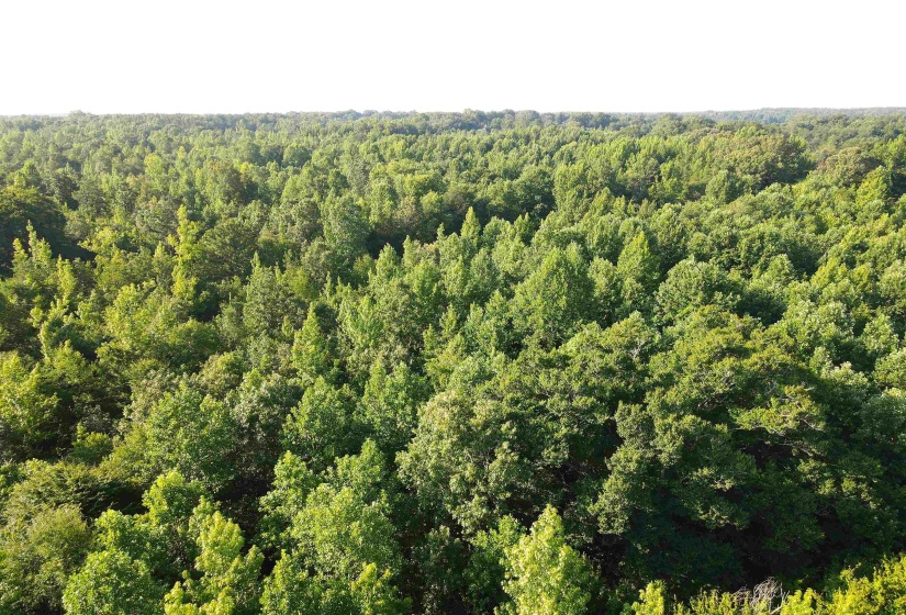 SEL BROOKS LN, Bethel Springs, Tennessee 38315, 0 , 0 ,0,Land,For Sale,SEL BROOKS,0,10225705