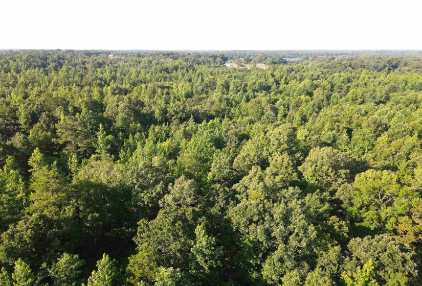 SEL BROOKS LN, Bethel Springs, Tennessee 38315, 0 , 0 ,0,Land,For Sale,SEL BROOKS,0,10225705