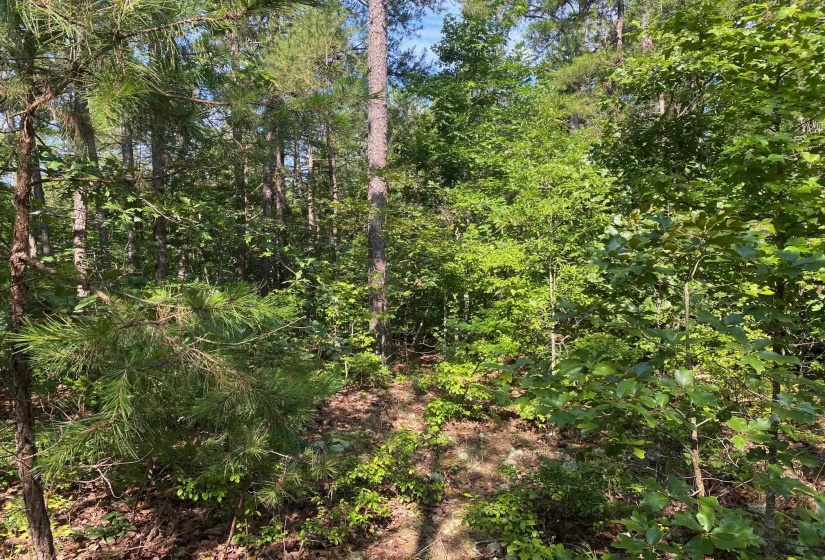 SEL BROOKS LN, Bethel Springs, Tennessee 38315, 0 , 0 ,0,Land,For Sale,SEL BROOKS,0,10225705