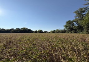 0 SLEDGE DR, Millington, Tennessee 38053, 0 , 0 ,0,Land,For Sale,SLEDGE,0,10225729 0 SLEDGE DR, Millington, Tennessee 38053, 0 , 0 ,0,Land,For Sale,SLEDGE,0,10225729