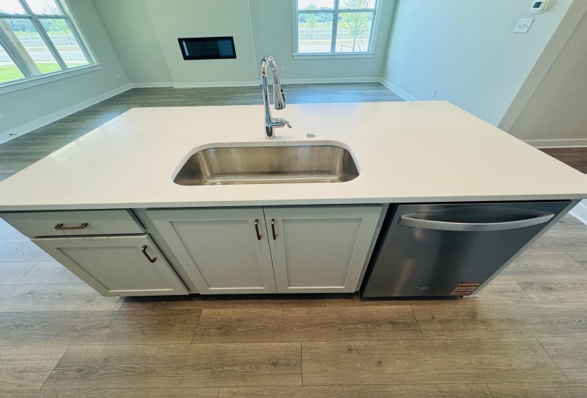 Kitchen with dishwasher, healthy amount of natural light, and dark wood-type flooring