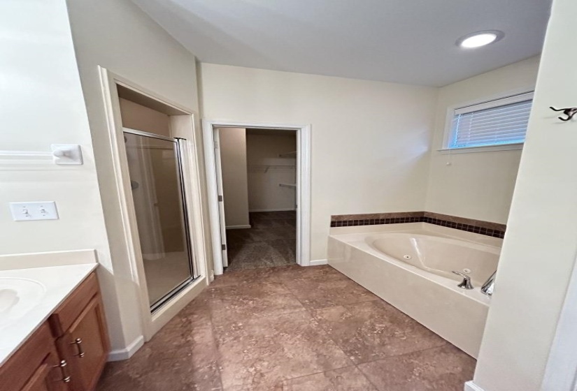 Bathroom with shower with separate bathtub and vanity