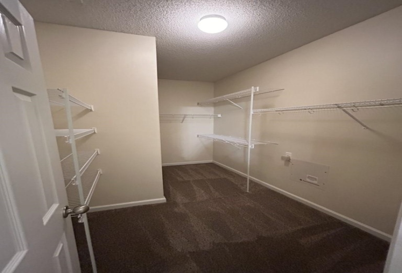 Spacious closet featuring dark carpet