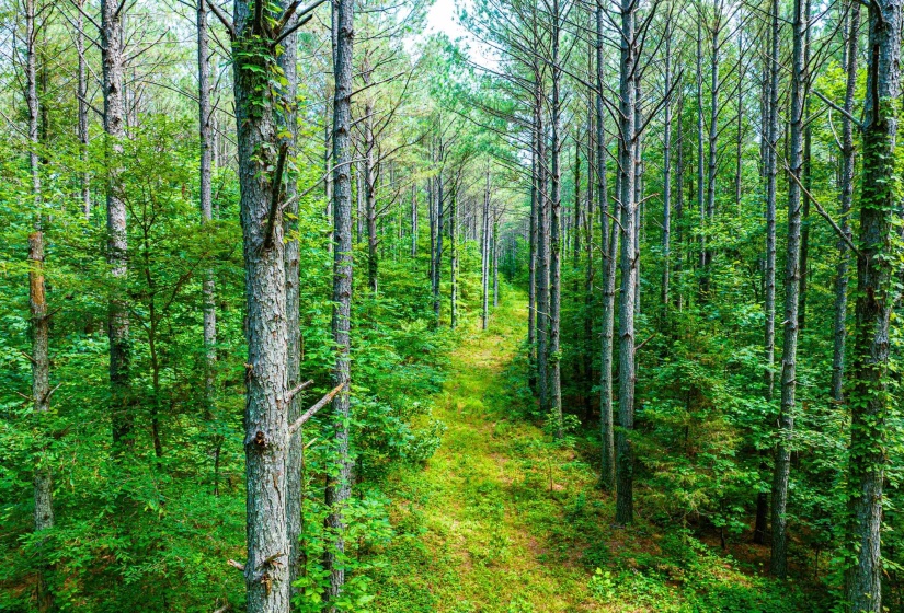 0 HWY 192 HWY, Holladay, Tennessee 38341, ,Land,For Sale,HWY 192,10225766